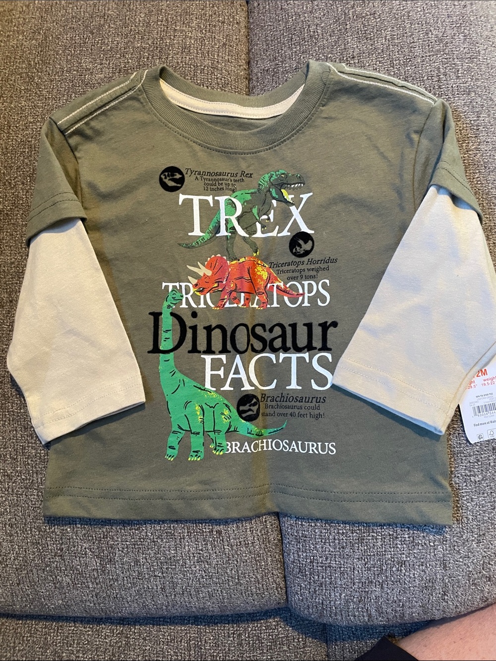 wonder nation Olive & Cream Layered-Look Dinosaur Facts Long Sleeve Tee
